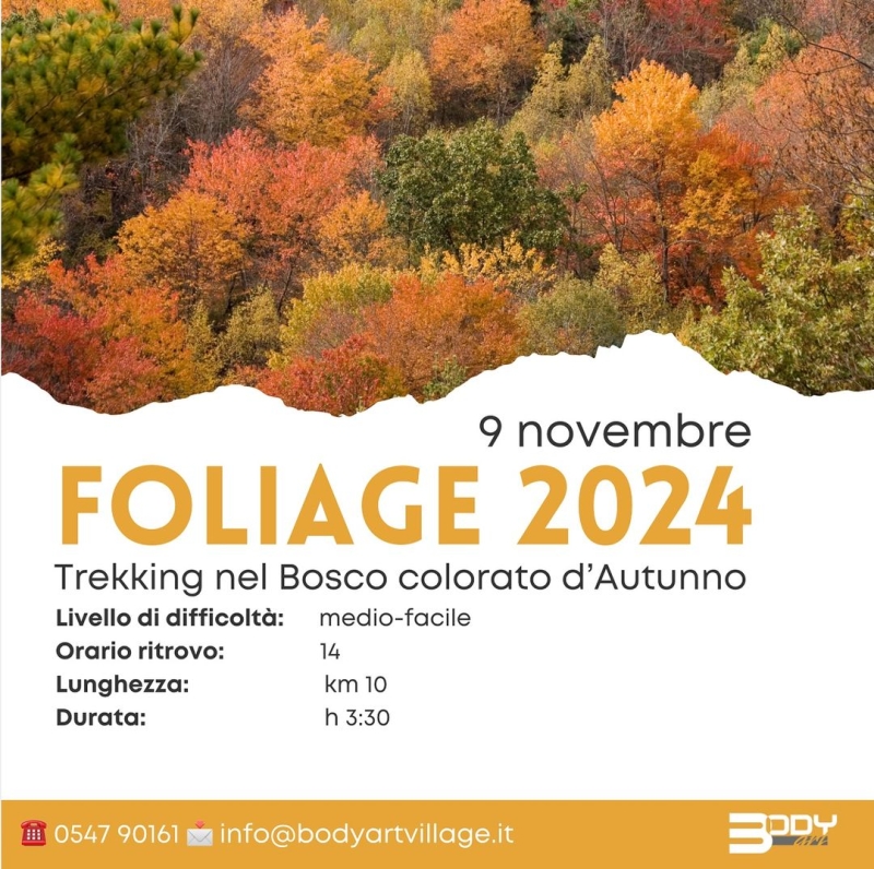 Trekking Fall Foliage 2024